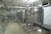 fotomy070200061.jpg